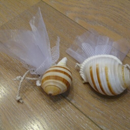 Μπομπονιέρα Γάμου Φυσικό Κοχύλι