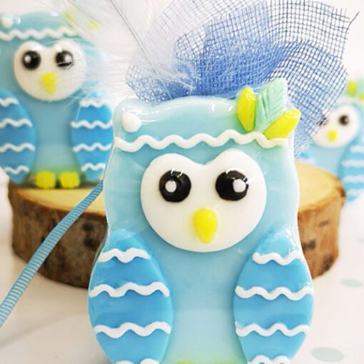 Μπομπονιέρα Σαπουνάκι Κουκουβάγια Σιέλ